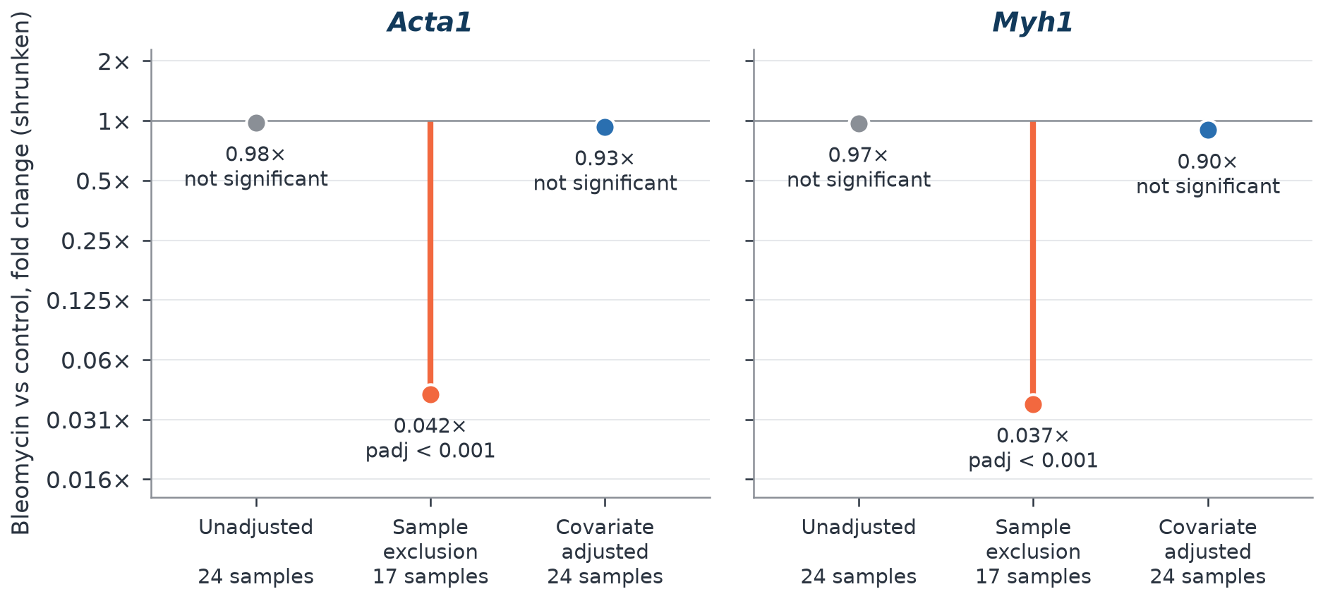 Two panels showing the estimated bleomycin effect on the muscle genes Acta1 and Myh1 under three analysis approaches. Unadjusted: about 1-fold, not significant. Sample exclusion: about 0.04-fold, significant. Covariate adjusted: about 0.9-fold, not significant.